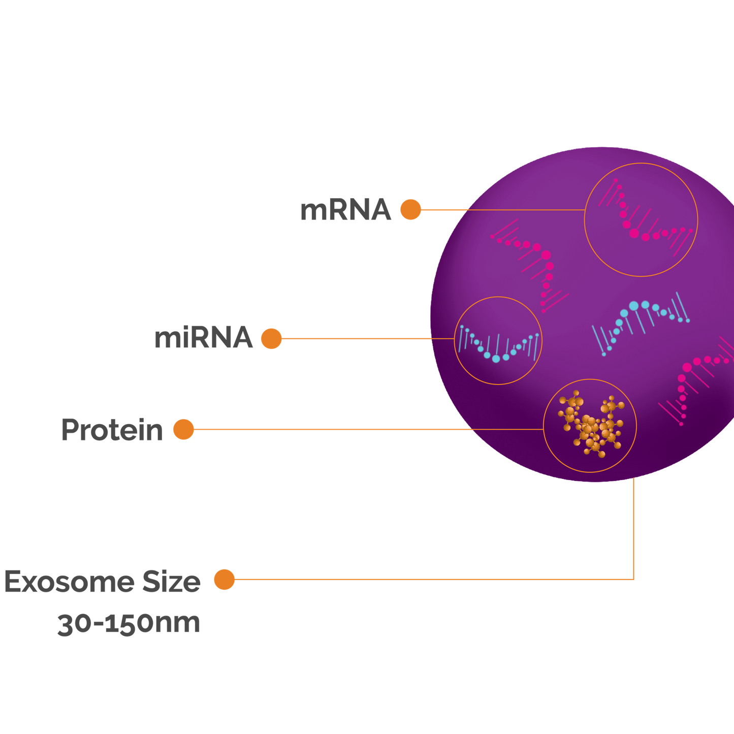 Exomine Smart Kit - Autologous, Exosome Rich Plasma